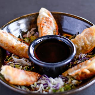 5 PC Gyoza